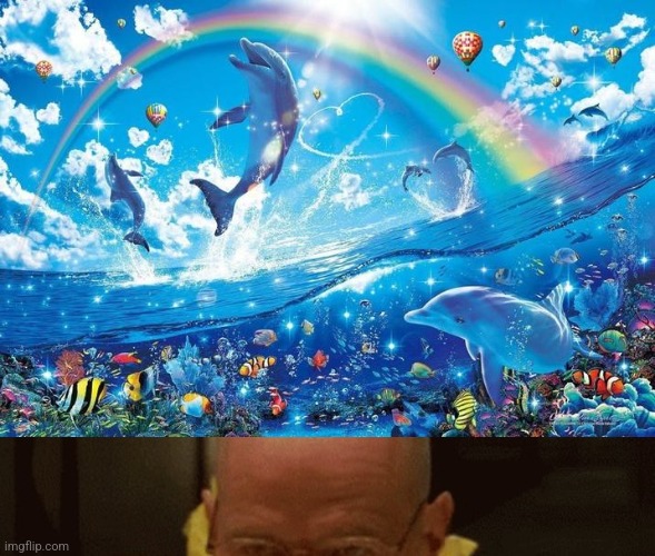 image tagged in happy dolphin rainbow,walter white cooking | made w/ Imgflip meme maker