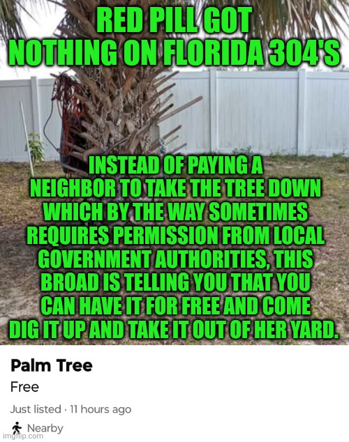 Funny | RED PILL GOT NOTHING ON FLORIDA 304'S; INSTEAD OF PAYING A NEIGHBOR TO TAKE THE TREE DOWN WHICH BY THE WAY SOMETIMES REQUIRES PERMISSION FROM LOCAL GOVERNMENT AUTHORITIES, THIS BROAD IS TELLING YOU THAT YOU CAN HAVE IT FOR FREE AND COME DIG IT UP AND TAKE IT OUT OF HER YARD. | image tagged in funny,hoes,clowns,red pill blue pill,florida,government | made w/ Imgflip meme maker