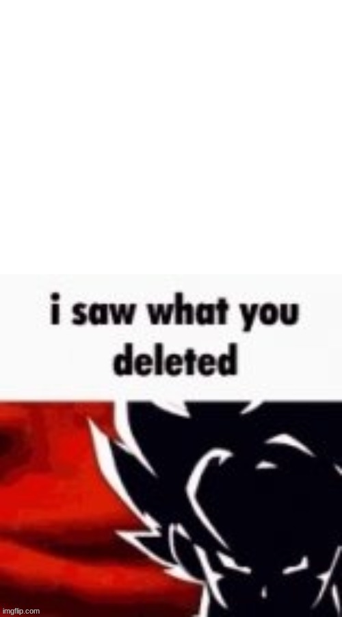 I saw what you deleted | image tagged in i saw what you deleted | made w/ Imgflip meme maker