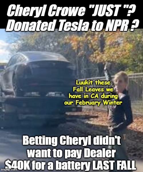 Maybe she was in Australia ??? | Cheryl Crowe "JUST "? 
Donated Tesla to NPR ? Luukit these Fall Leaves we have in CA during our February Winter; Betting Cheryl didn't want to pay Dealer $40K for a battery LAST FALL | image tagged in cheryl crowe donates tesla to npr fall leaves meme | made w/ Imgflip meme maker