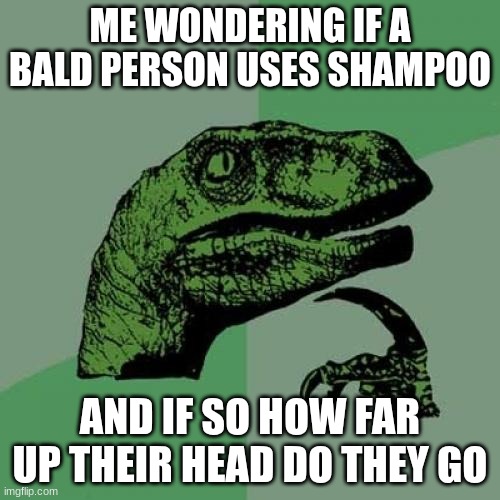 what keeps me up at night | ME WONDERING IF A BALD PERSON USES SHAMPOO; AND IF SO HOW FAR UP THEIR HEAD DO THEY GO | image tagged in memes,philosoraptor | made w/ Imgflip meme maker