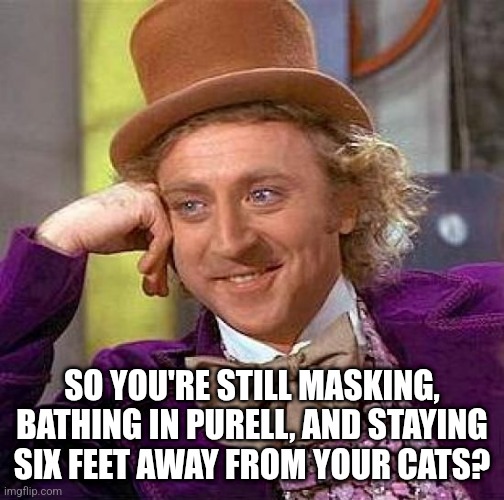 Creepy Condescending Wonka Meme | SO YOU'RE STILL MASKING, BATHING IN PURELL, AND STAYING SIX FEET AWAY FROM YOUR CATS? | image tagged in memes,creepy condescending wonka | made w/ Imgflip meme maker