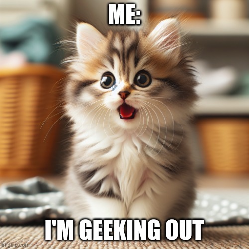 Geeking out | ME:; I'M GEEKING OUT | image tagged in kitten jaw drop | made w/ Imgflip meme maker