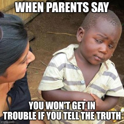 you will | WHEN PARENTS SAY; YOU WON'T GET IN TROUBLE IF YOU TELL THE TRUTH | image tagged in memes,third world skeptical kid | made w/ Imgflip meme maker