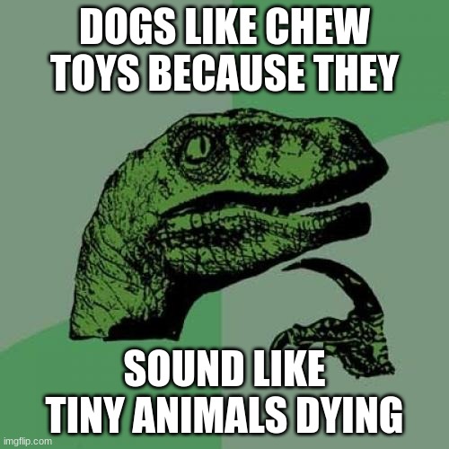 dogg | DOGS LIKE CHEW TOYS BECAUSE THEY; SOUND LIKE TINY ANIMALS DYING | image tagged in memes,philosoraptor | made w/ Imgflip meme maker