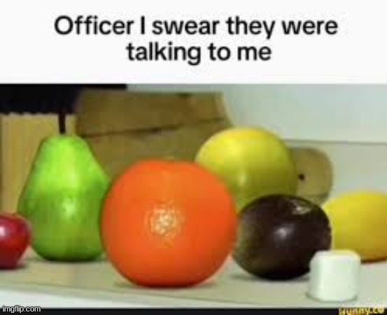 I swear officer, that orange has been annoying me for 12 years | image tagged in they were talking to me | made w/ Imgflip meme maker