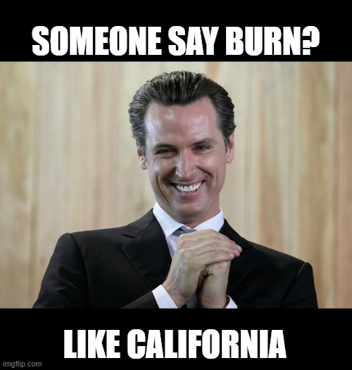 Scheming Gavin Newsom  | SOMEONE SAY BURN? LIKE CALIFORNIA | image tagged in scheming gavin newsom | made w/ Imgflip meme maker