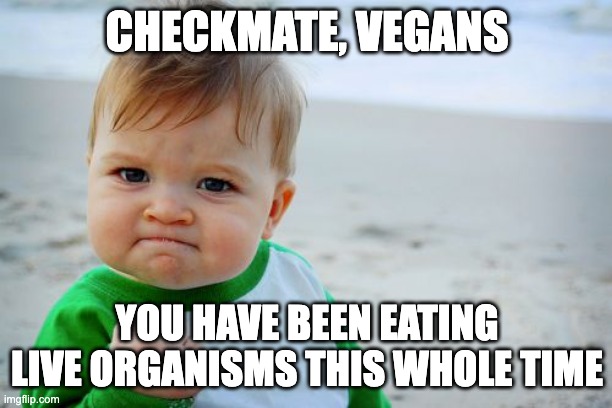 Success Kid Original Meme | CHECKMATE, VEGANS YOU HAVE BEEN EATING LIVE ORGANISMS THIS WHOLE TIME | image tagged in memes,success kid original | made w/ Imgflip meme maker