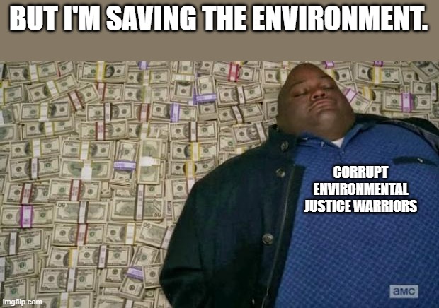 huell money | BUT I'M SAVING THE ENVIRONMENT. CORRUPT ENVIRONMENTAL JUSTICE WARRIORS | image tagged in huell money | made w/ Imgflip meme maker