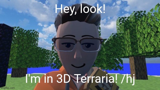 Hey, look! I'm in 3D Terraria! /hj | made w/ Imgflip meme maker