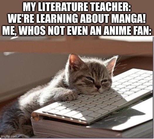 thanks, but i believe i didnt ask for this | MY LITERATURE TEACHER: WE'RE LEARNING ABOUT MANGA!
ME, WHOS NOT EVEN AN ANIME FAN: | image tagged in bored keyboard cat,cats,memes | made w/ Imgflip meme maker