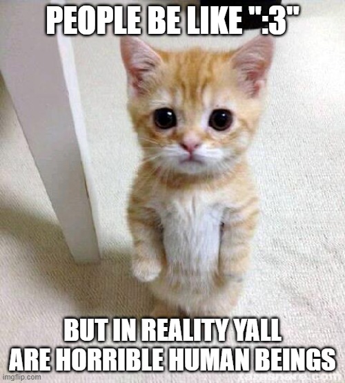 Cute Cat | PEOPLE BE LIKE ":3"; BUT IN REALITY YALL ARE HORRIBLE HUMAN BEINGS | image tagged in memes,cute cat | made w/ Imgflip meme maker