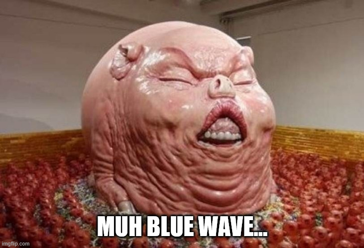 Constipated Pig | MUH BLUE WAVE... | image tagged in constipated pig | made w/ Imgflip meme maker