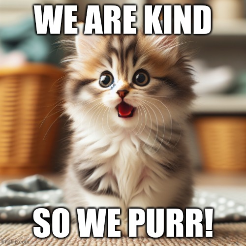 we are kind | WE ARE KIND; SO WE PURR! | image tagged in kitten jaw drop | made w/ Imgflip meme maker