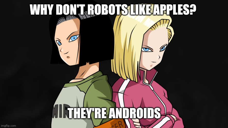 Android 17 and Android 18 | WHY DON'T ROBOTS LIKE APPLES? THEY'RE ANDROIDS | image tagged in memes,funny,puns,dragon ball z,dragon ball super,android | made w/ Imgflip meme maker