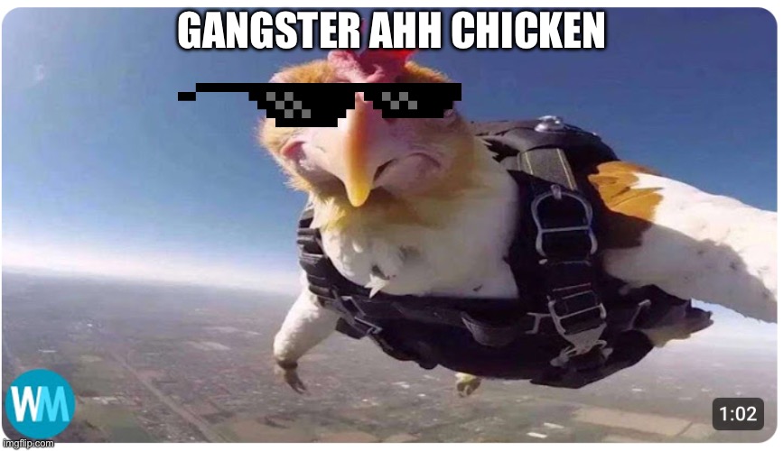 GANGSTER AHH CHICKEN | made w/ Imgflip meme maker