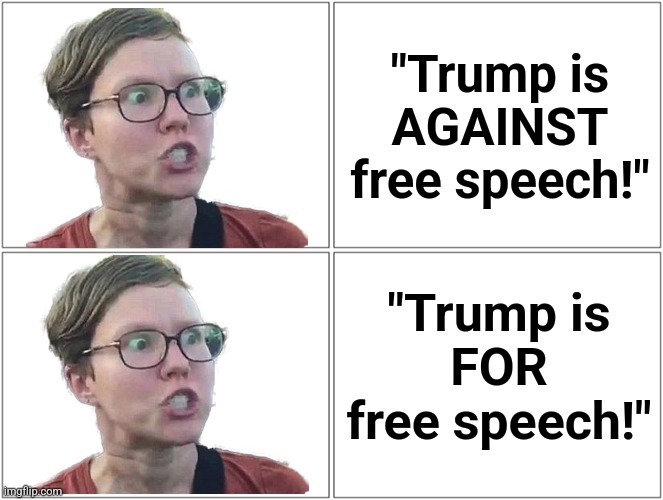 Libs losing their minds, now because Trump is promoting free speech | "Trump is
AGAINST
free speech!"; "Trump is
FOR
free speech!" | image tagged in memes,blank comic panel 2x2,trump derangement syndrome,democrats,free speech,europeans | made w/ Imgflip meme maker