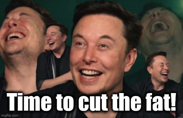 Elon Musk Laughing | Time to cut the fat! | image tagged in elon musk laughing | made w/ Imgflip meme maker