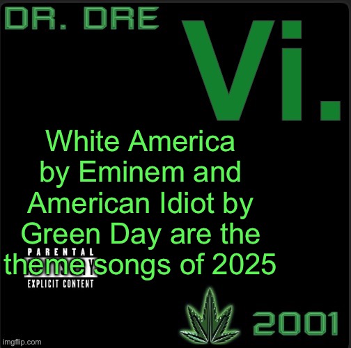 Vi. template | White America by Eminem and American Idiot by Green Day are the theme songs of 2025 | image tagged in vi template | made w/ Imgflip meme maker