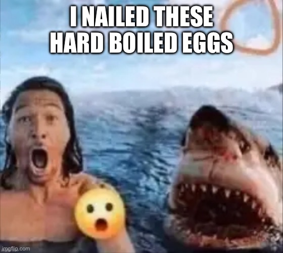 Shark | I NAILED THESE HARD BOILED EGGS | image tagged in shark | made w/ Imgflip meme maker