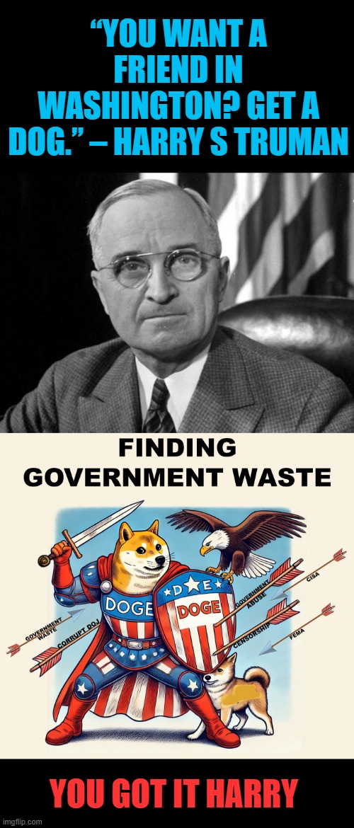 Good DOGe | “YOU WANT A FRIEND IN WASHINGTON? GET A DOG.” – HARRY S TRUMAN; YOU GOT IT HARRY | image tagged in harry s truman,doge,government corruption,theft | made w/ Imgflip meme maker