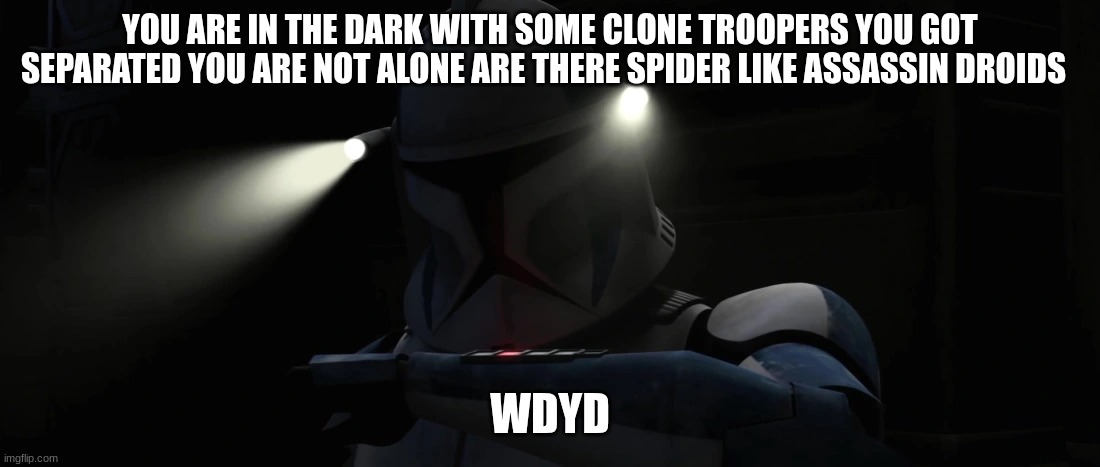 501st clone trooper | YOU ARE IN THE DARK WITH SOME CLONE TROOPERS YOU GOT SEPARATED YOU ARE NOT ALONE ARE THERE SPIDER LIKE ASSASSIN DROIDS; WDYD | image tagged in 501st clone trooper | made w/ Imgflip meme maker