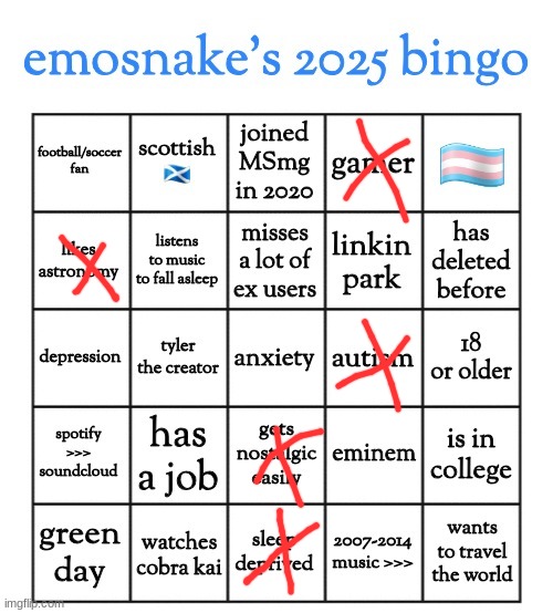 emosnake's 2025 bingo | image tagged in emosnake's 2025 bingo | made w/ Imgflip meme maker