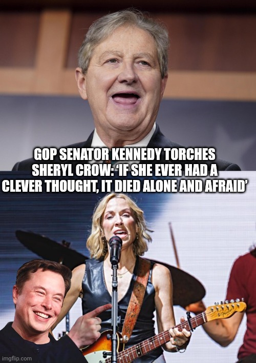 Cheryl Crow meme | GOP SENATOR KENNEDY TORCHES SHERYL CROW: ‘IF SHE EVER HAD A CLEVER THOUGHT, IT DIED ALONE AND AFRAID’ | image tagged in liberals | made w/ Imgflip meme maker