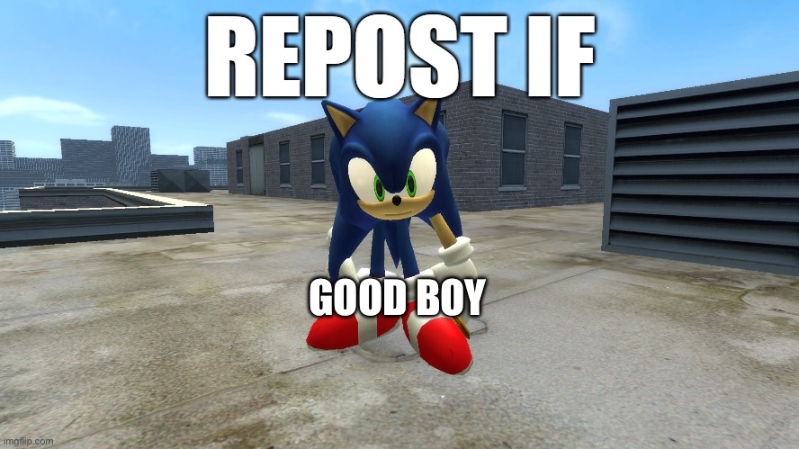 Yes | GOOD BOY | image tagged in repost if | made w/ Imgflip meme maker