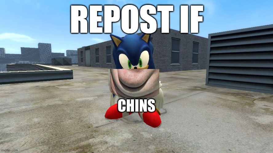 repost if | CHINS | image tagged in repost if | made w/ Imgflip meme maker