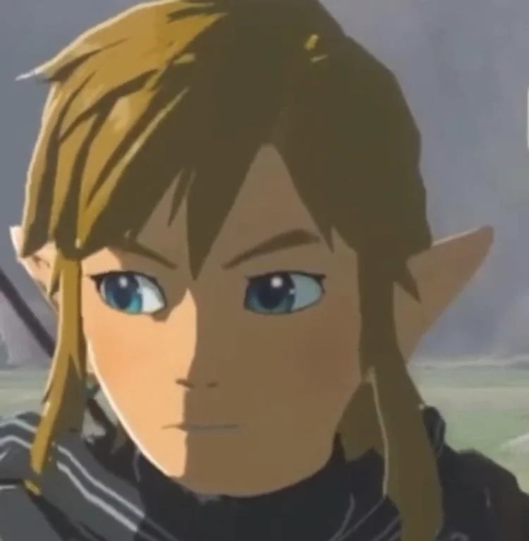 sexy link Blank Meme Template