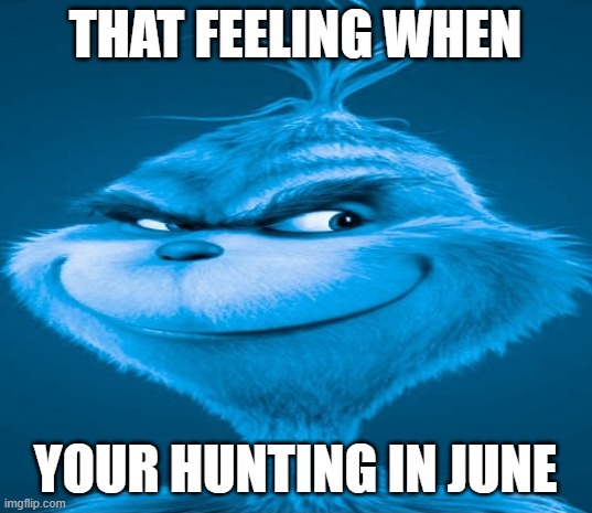 if yn yn *THIS IS A JOKE* | THAT FEELING WHEN; YOUR HUNTING IN JUNE | image tagged in blue grinch,anti furry,dark humor | made w/ Imgflip meme maker