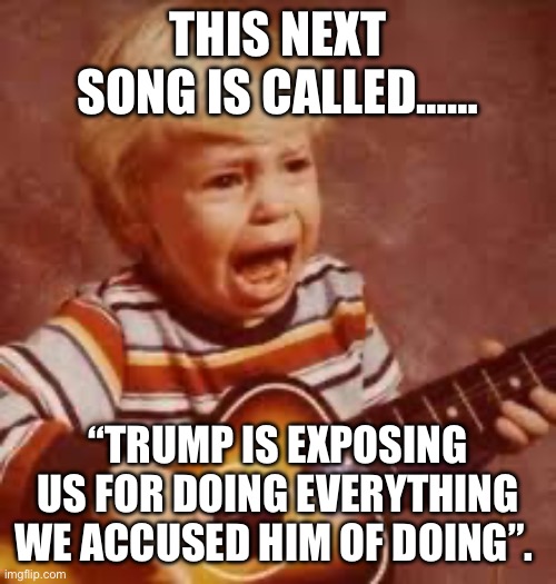 This next song is called Donald Trump and Elon Musk. | THIS NEXT SONG IS CALLED……; “TRUMP IS EXPOSING US FOR DOING EVERYTHING WE ACCUSED HIM OF DOING”. | image tagged in donald trump,republicans,democrats,elon musk,government corruption,political humor | made w/ Imgflip meme maker