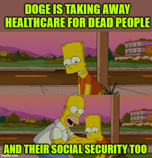 dems are outraged DOGE has exposed their slush funding | DOGE IS TAKING AWAY HEALTHCARE FOR DEAD PEOPLE; AND THEIR SOCIAL SECURITY TOO | image tagged in political,reposts,dems,ouraged doge is finding their slush funding | made w/ Imgflip meme maker