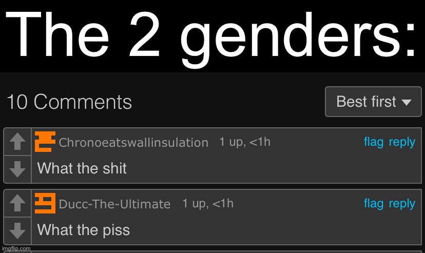 “There I two types of people” ahh meme | The 2 genders: | made w/ Imgflip meme maker