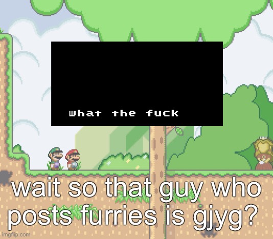 smw what the fuck | wait so that guy who posts furries is gjyg? | image tagged in smw what the fuck | made w/ Imgflip meme maker