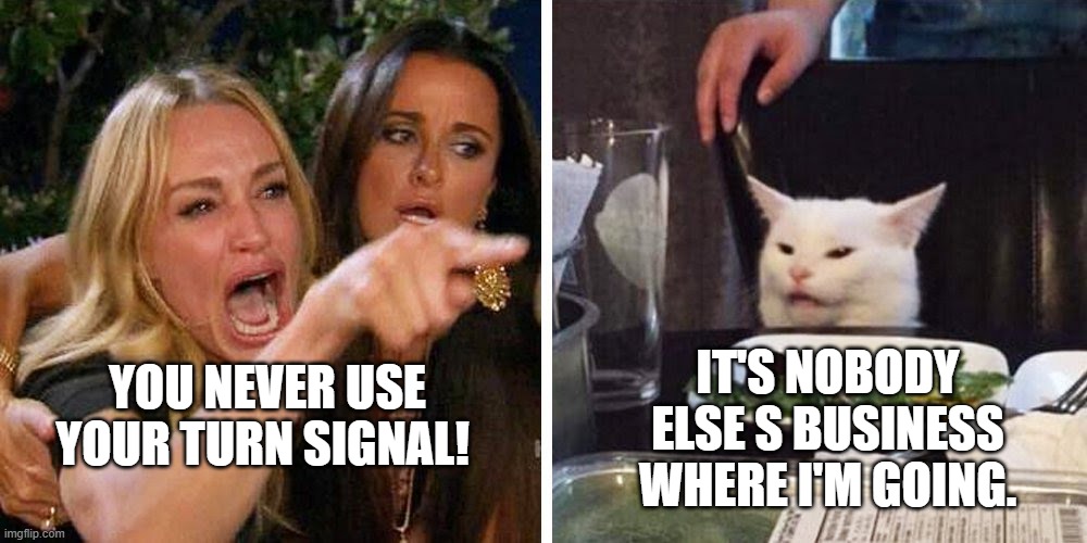 Turn signal | IT'S NOBODY ELSE S BUSINESS WHERE I'M GOING. YOU NEVER USE YOUR TURN SIGNAL! | image tagged in smudge the cat | made w/ Imgflip meme maker