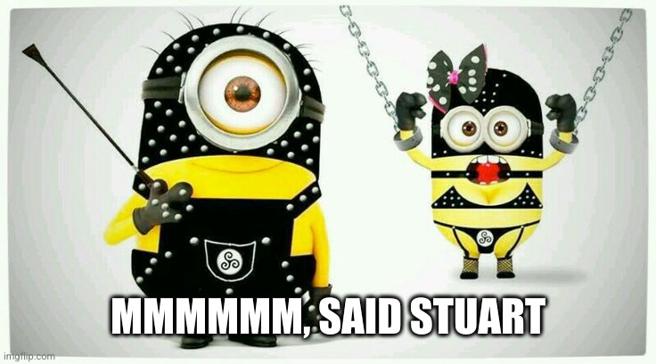 BDSM Minions | MMMMMM, SAID STUART | image tagged in bdsm minions | made w/ Imgflip meme maker