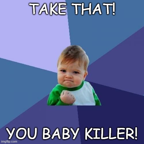 Success Kid Meme | TAKE THAT! YOU BABY KILLER! | image tagged in memes,success kid | made w/ Imgflip meme maker