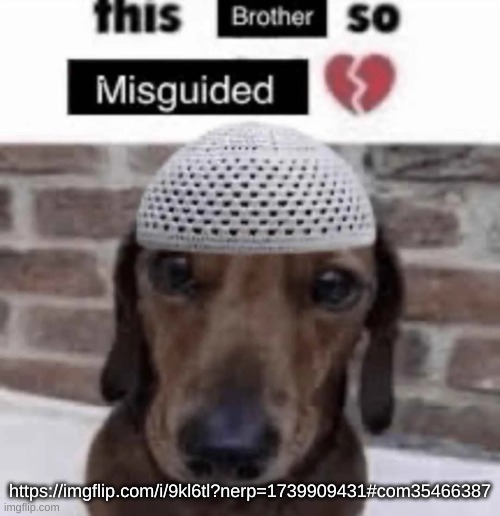 This brother so misguided | https://imgflip.com/i/9kl6tl?nerp=1739909431#com35466387 | image tagged in this brother so misguided | made w/ Imgflip meme maker