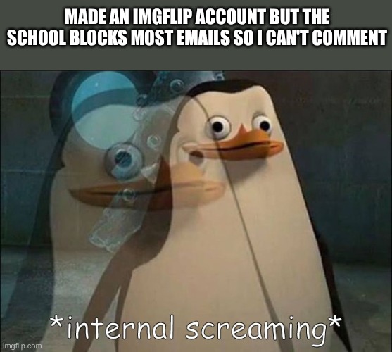 Help | MADE AN IMGFLIP ACCOUNT BUT THE SCHOOL BLOCKS MOST EMAILS SO I CAN'T COMMENT | image tagged in private internal screaming,school | made w/ Imgflip meme maker