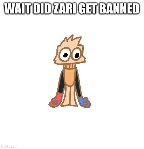 Justmakeameme announcement | WAIT DID ZARI GET BANNED | image tagged in justmakeameme announcement | made w/ Imgflip meme maker