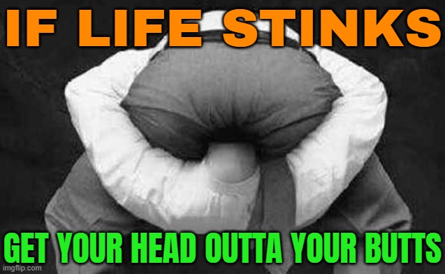 If Life Stinks; Get Your Head Outta Your Butts | IF LIFE STINKS; GET YOUR HEAD OUTTA YOUR BUTTS | image tagged in head up ass,asshole,ass,life sucks,life lessons,i don't want to live on this planet anymore | made w/ Imgflip meme maker