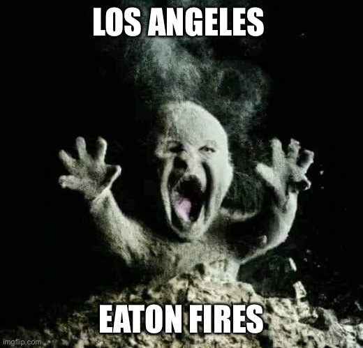 R.I.P LA | LOS ANGELES; EATON FIRES | image tagged in ash baby | made w/ Imgflip meme maker