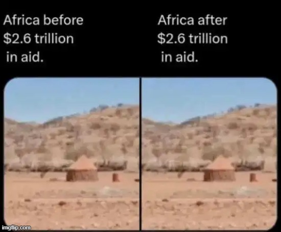 They're the same picture | image tagged in where did the money go,follow the money,africa,every 60 seconds in africa a minute passes,taxpayers,waste of money | made w/ Imgflip meme maker