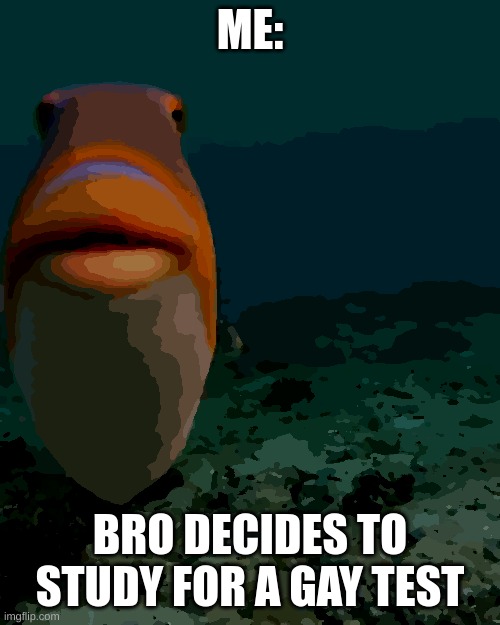 FISHHHHHHH | ME:; BRO DECIDES TO STUDY FOR A GAY TEST | image tagged in staring fish | made w/ Imgflip meme maker