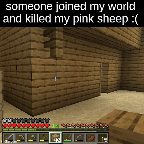 it's a sad day today | someone joined my world and killed my pink sheep :( | image tagged in memes,sad,pink sheep | made w/ Imgflip meme maker