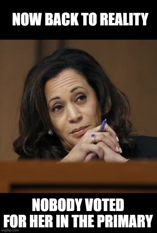 Kamala Harris  | NOW BACK TO REALITY NOBODY VOTED FOR HER IN THE PRIMARY | image tagged in kamala harris | made w/ Imgflip meme maker