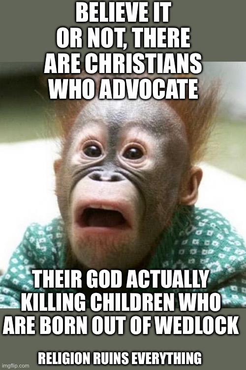 Divine Command Theory means their pathetic god gets to do anything and it become moral at that point. | BELIEVE IT OR NOT, THERE ARE CHRISTIANS WHO ADVOCATE; THEIR GOD ACTUALLY KILLING CHILDREN WHO ARE BORN OUT OF WEDLOCK; RELIGION RUINS EVERYTHING | image tagged in shocked monkey,disgusting,christian hypocrisy | made w/ Imgflip meme maker