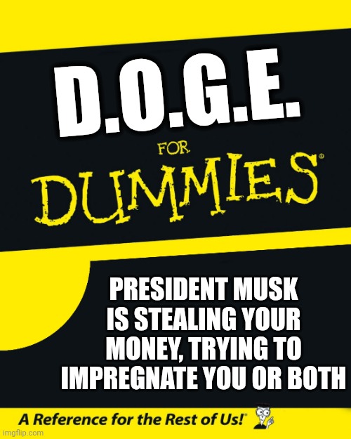 DOGE | D.O.G.E. PRESIDENT MUSK IS STEALING YOUR MONEY, TRYING TO IMPREGNATE YOU OR BOTH | image tagged in for dummies | made w/ Imgflip meme maker